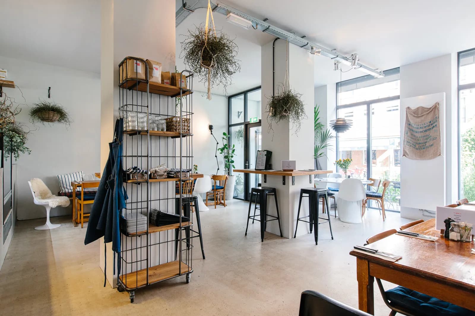Sunlit cafe interior with hanging plants, open shelving and wooden tables
